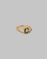 View from the side of the Ammi Ring on light color background.