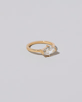 View from the side of the Seasons Ring on light color background.