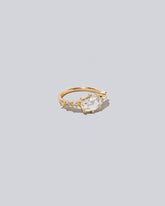 Vera Rings on light color background.