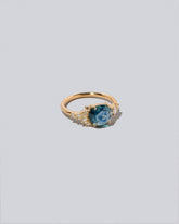 Fauna Rings on light color background.