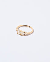 Garden Ring on light color background.
