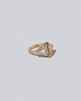 Product photo of the Couplet Ring on a light color background