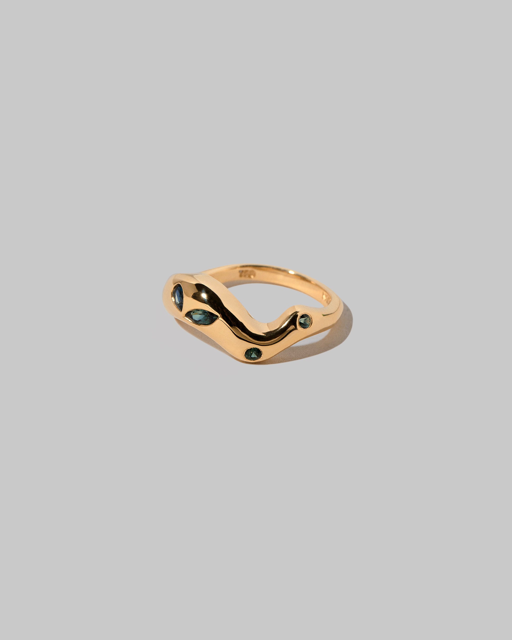 Sapphire Bell Band on light color background.