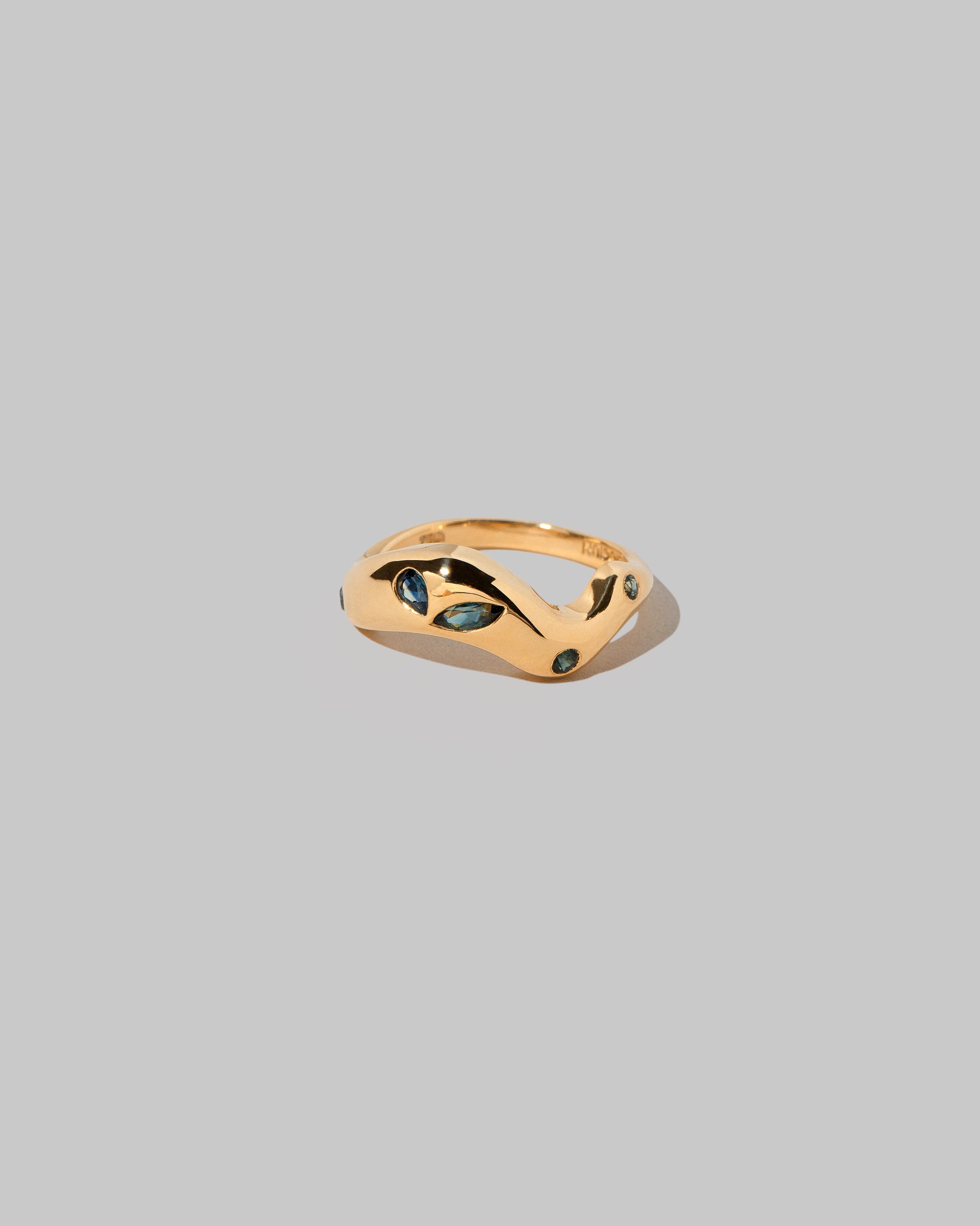 View from the side of the Sapphire Bell Band on light color background.