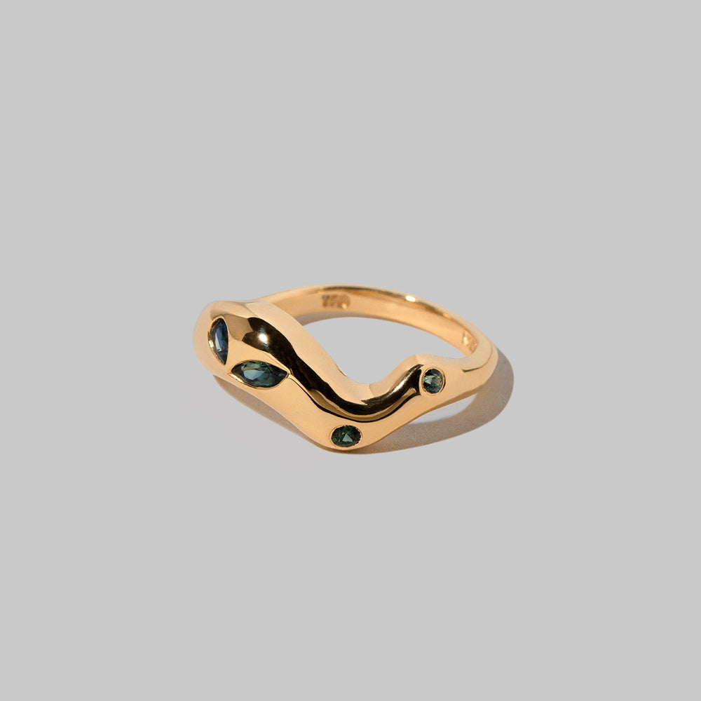 product_details::Closeup details of the Sapphire Bell Band on light color background.