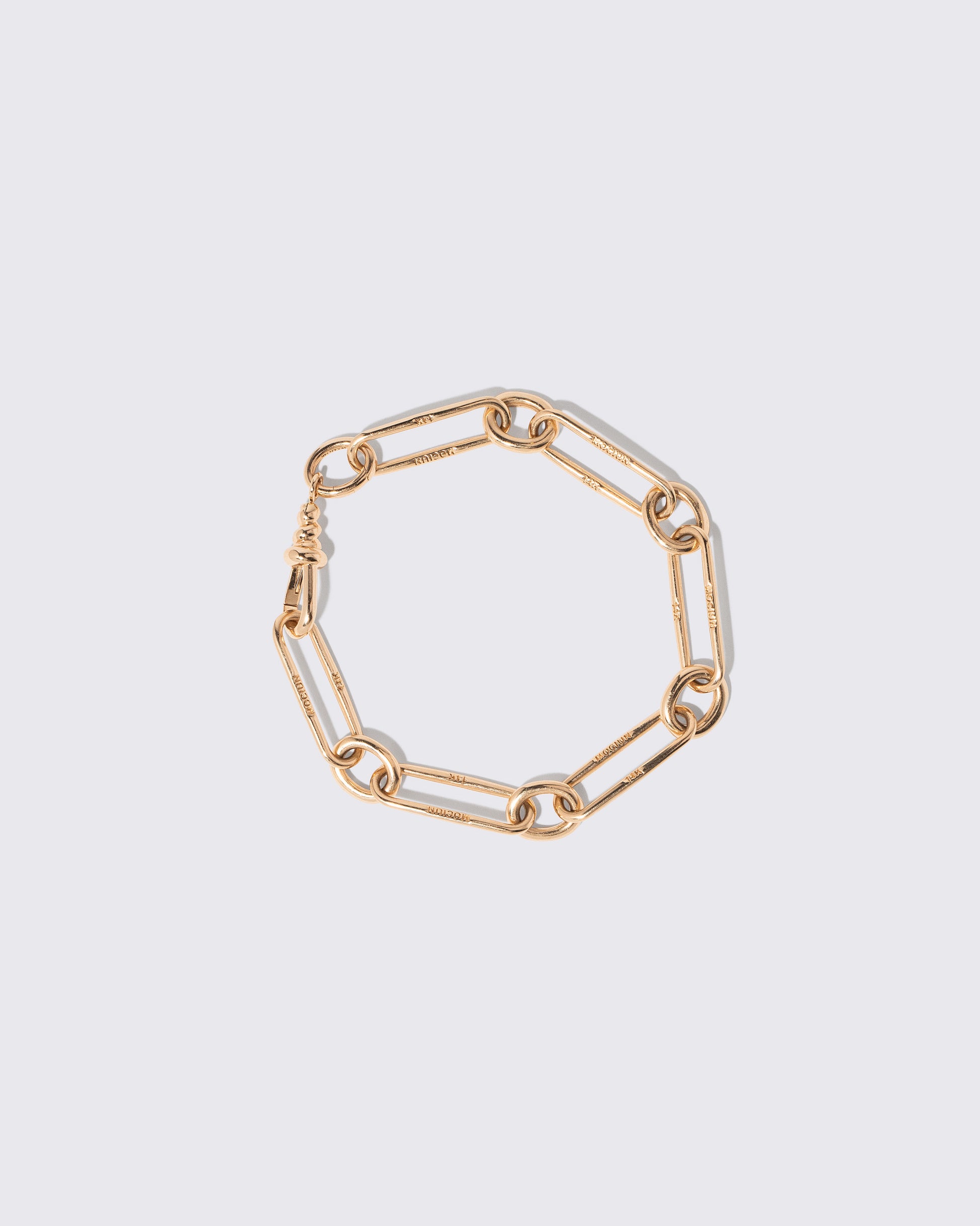 Link Bracelet on light color background.