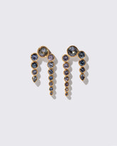 Passiflora Earrings on light color background.