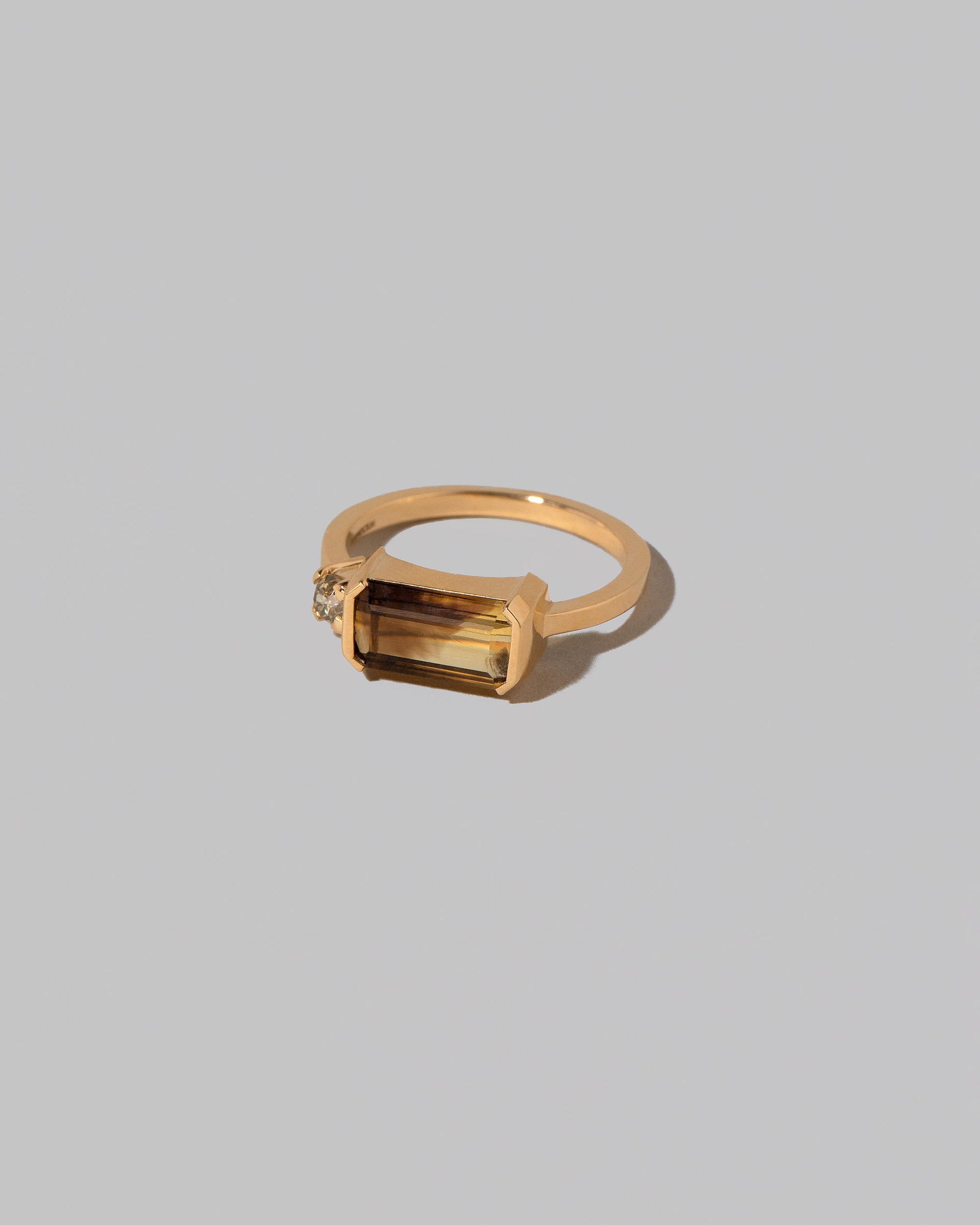View from the side of the Ansellia Ring on light color background.