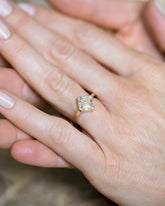 Spectral Ring on model.