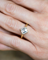 Spectral Ring on model.
