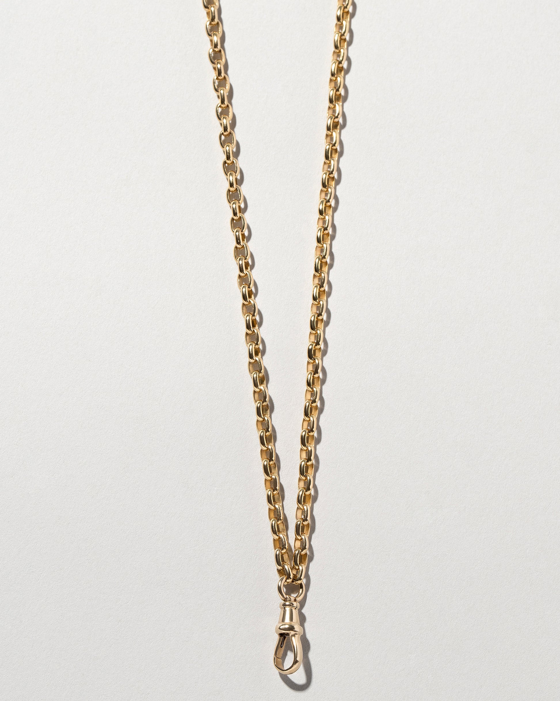 Short Loop Chain Necklace and Swivel Fob on light color background.