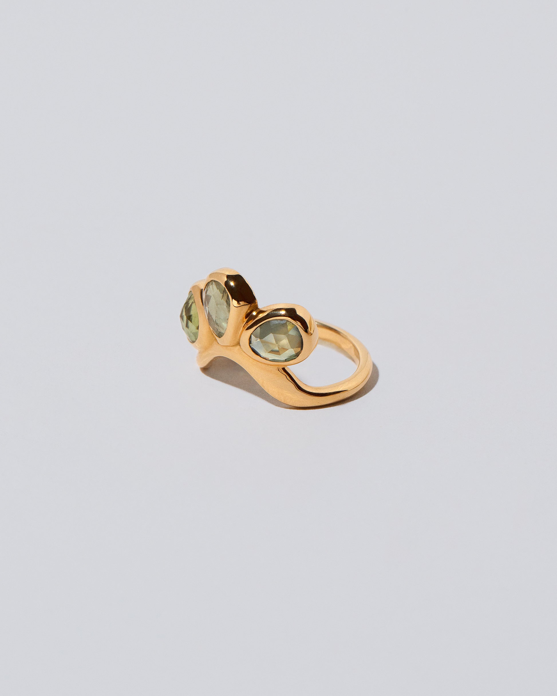 Future Life Ring on light color background.