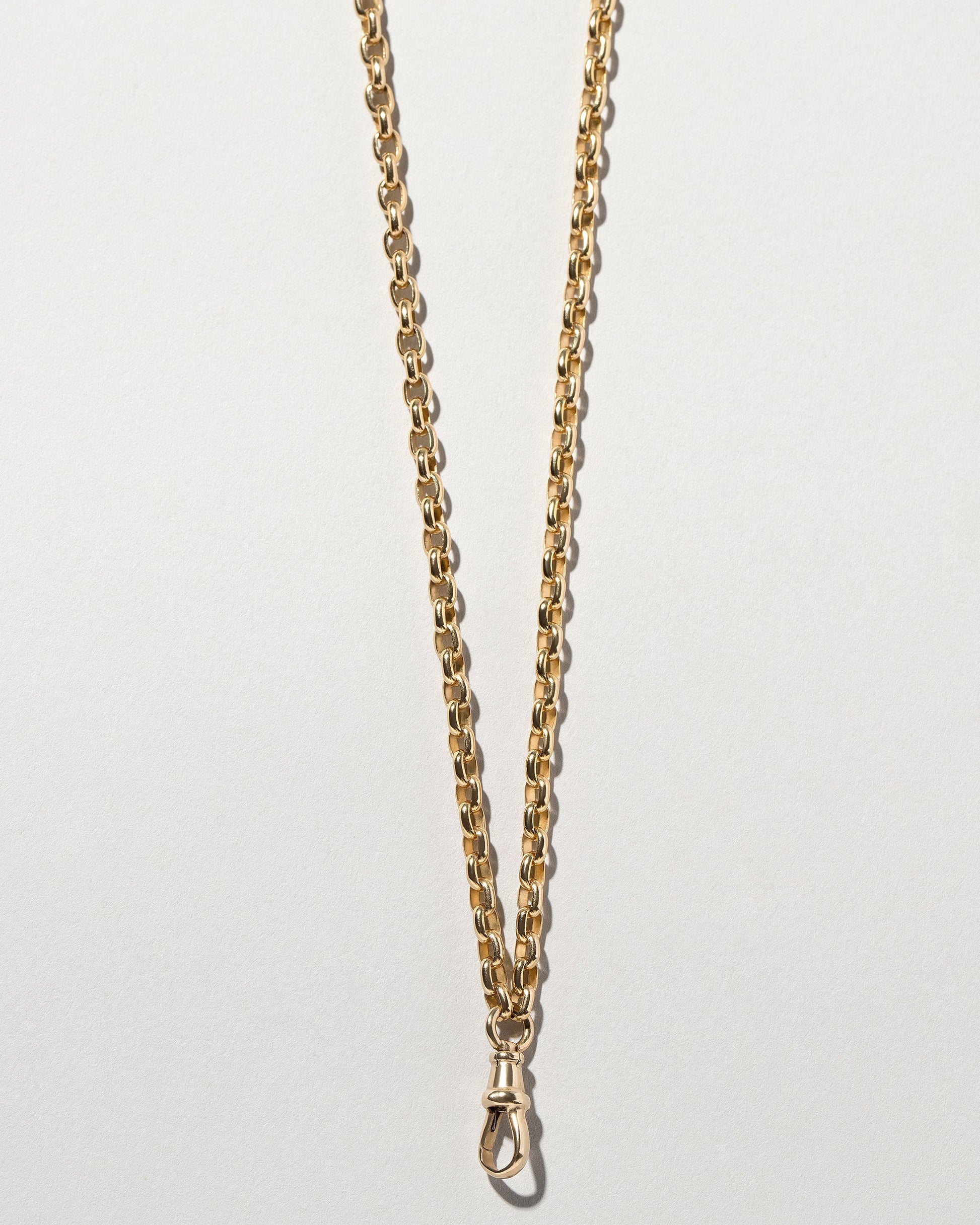 Short Loop Chain Necklace and Swivel Fob on light color background.