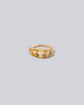 Twinned Ring on light color background.