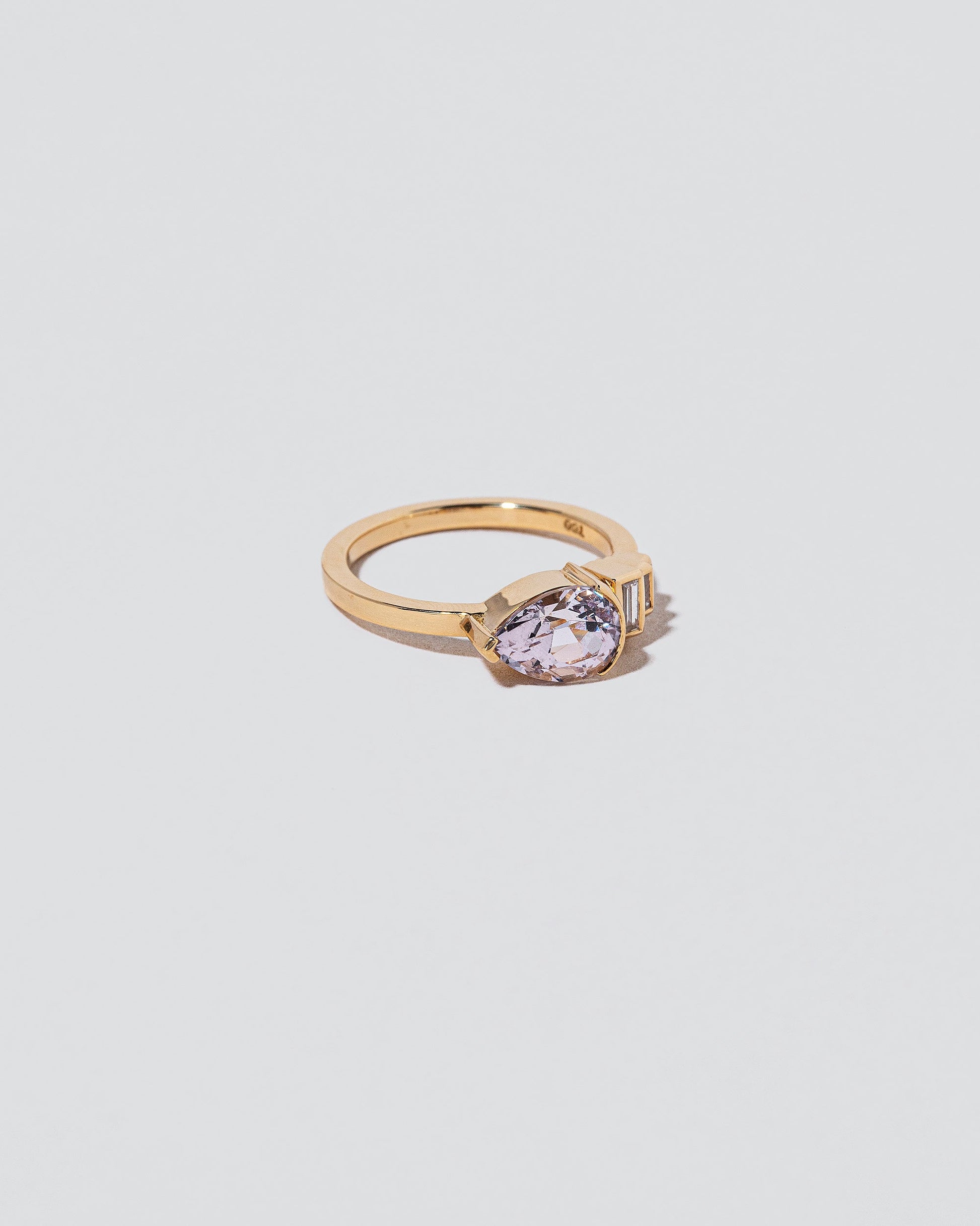  Fixation Ring on light color background.