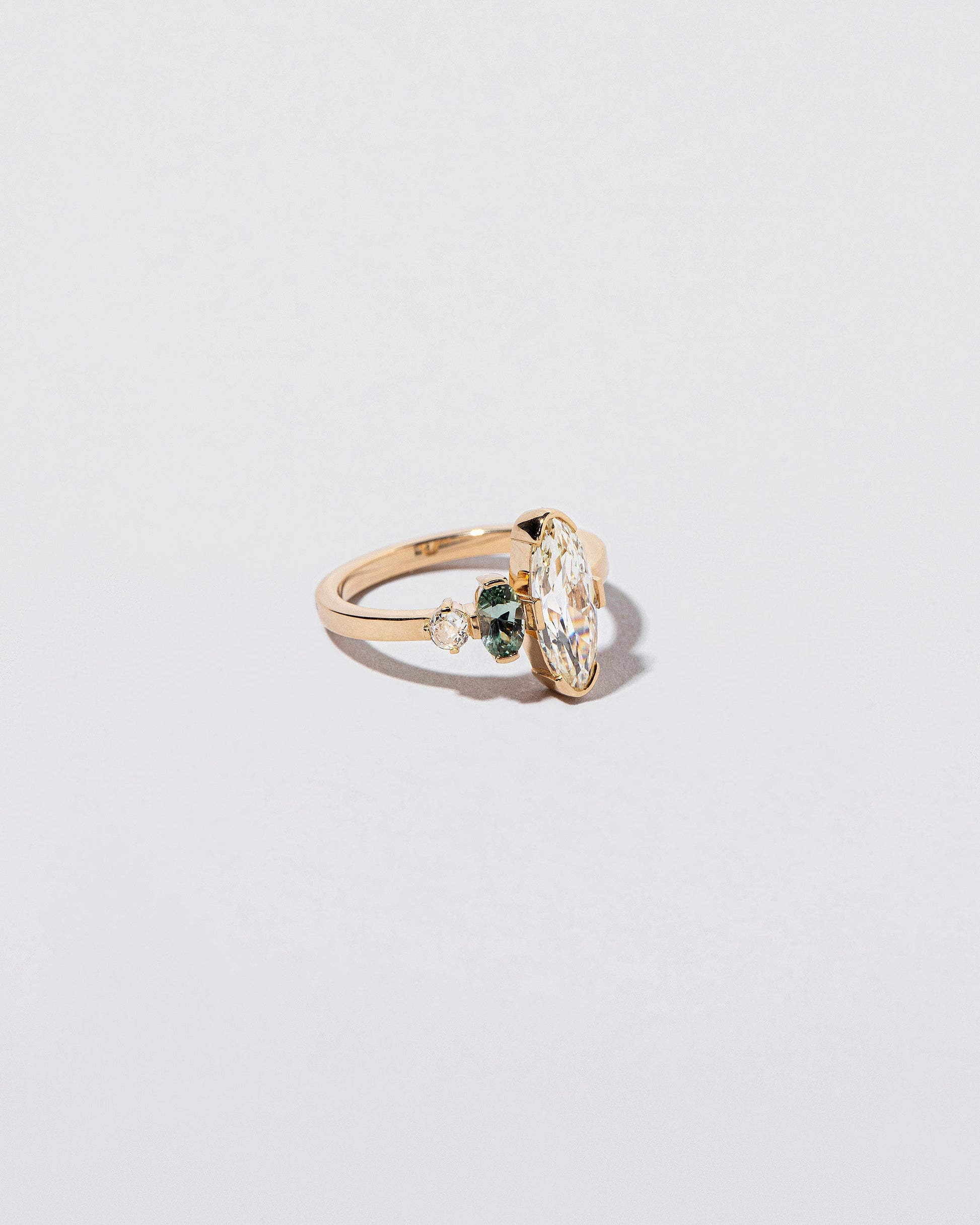  Parks Ring on light color background.