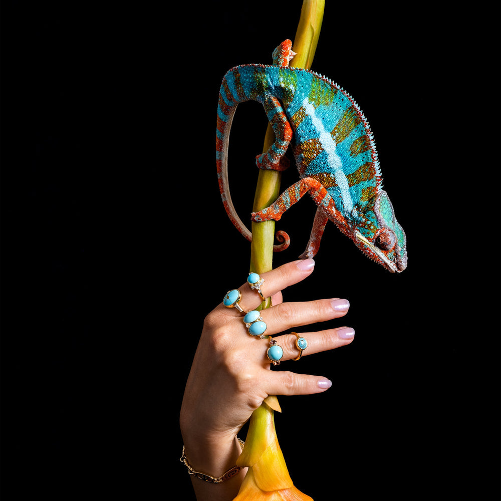 product_details::Styled image featuring the Wisdom Ring.