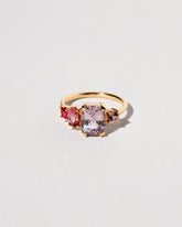 Dianthus Ring on light color background.