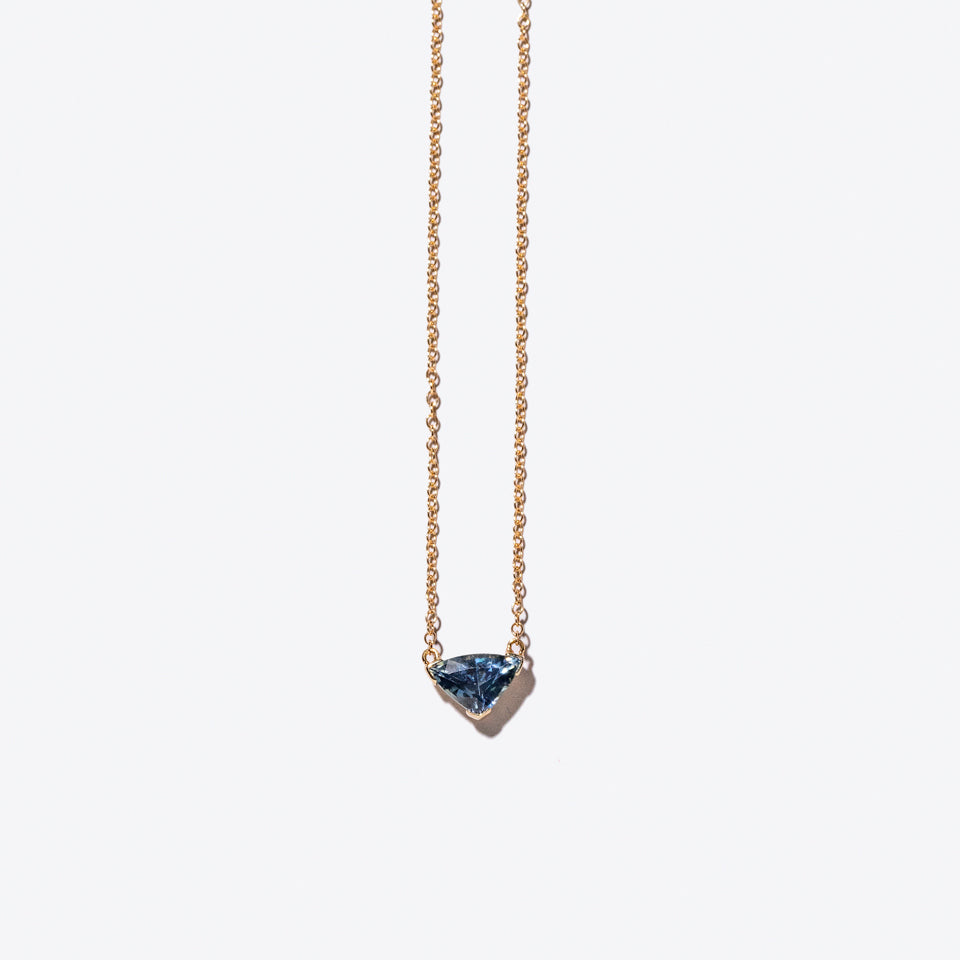 product_details:: Product photo of Fin Necklace on a light color background 