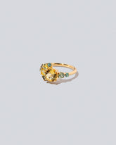 Vega Ring on light colored background.