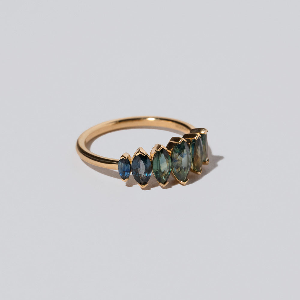 product_details::Hericium Ring on light color background.