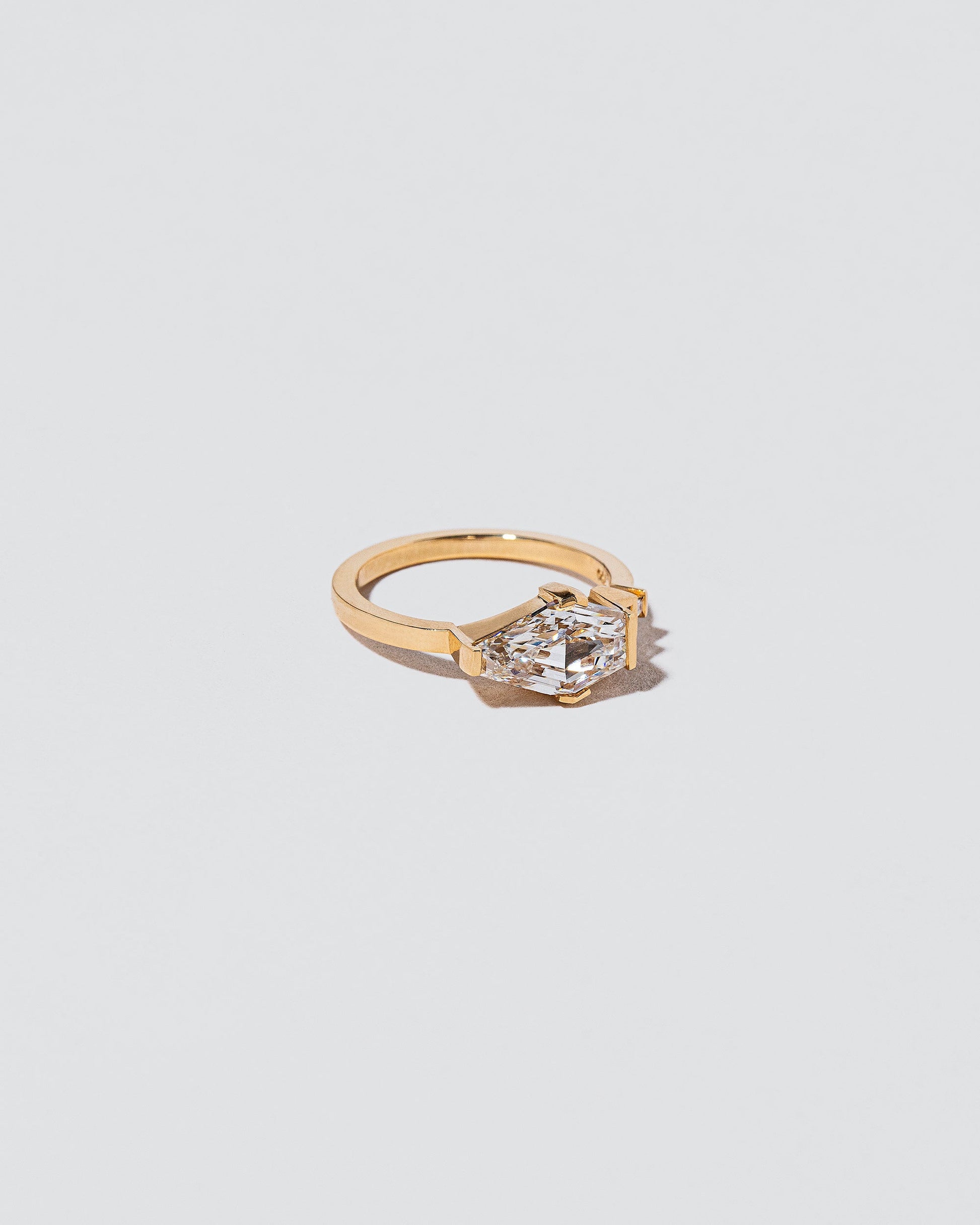  Serpentes Ring on light color background.