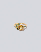 Vega Ring on light colored background.