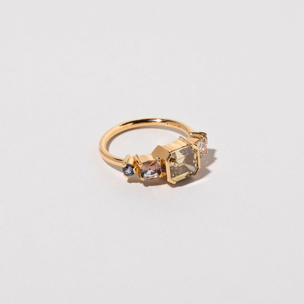product_details:: Probus Ring on light color background.