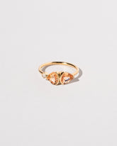  Canna Ring on light color background.