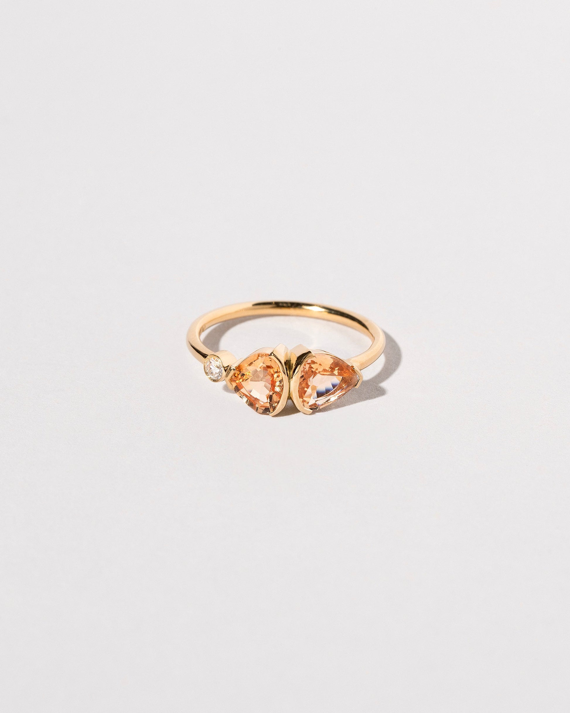  Canna Ring on light color background.