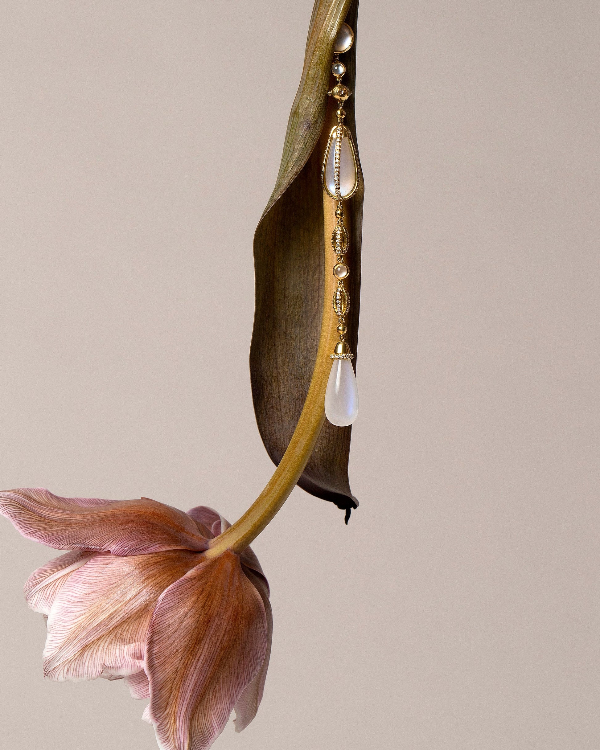  The Future Moonstone Drop Earrings on light color background.