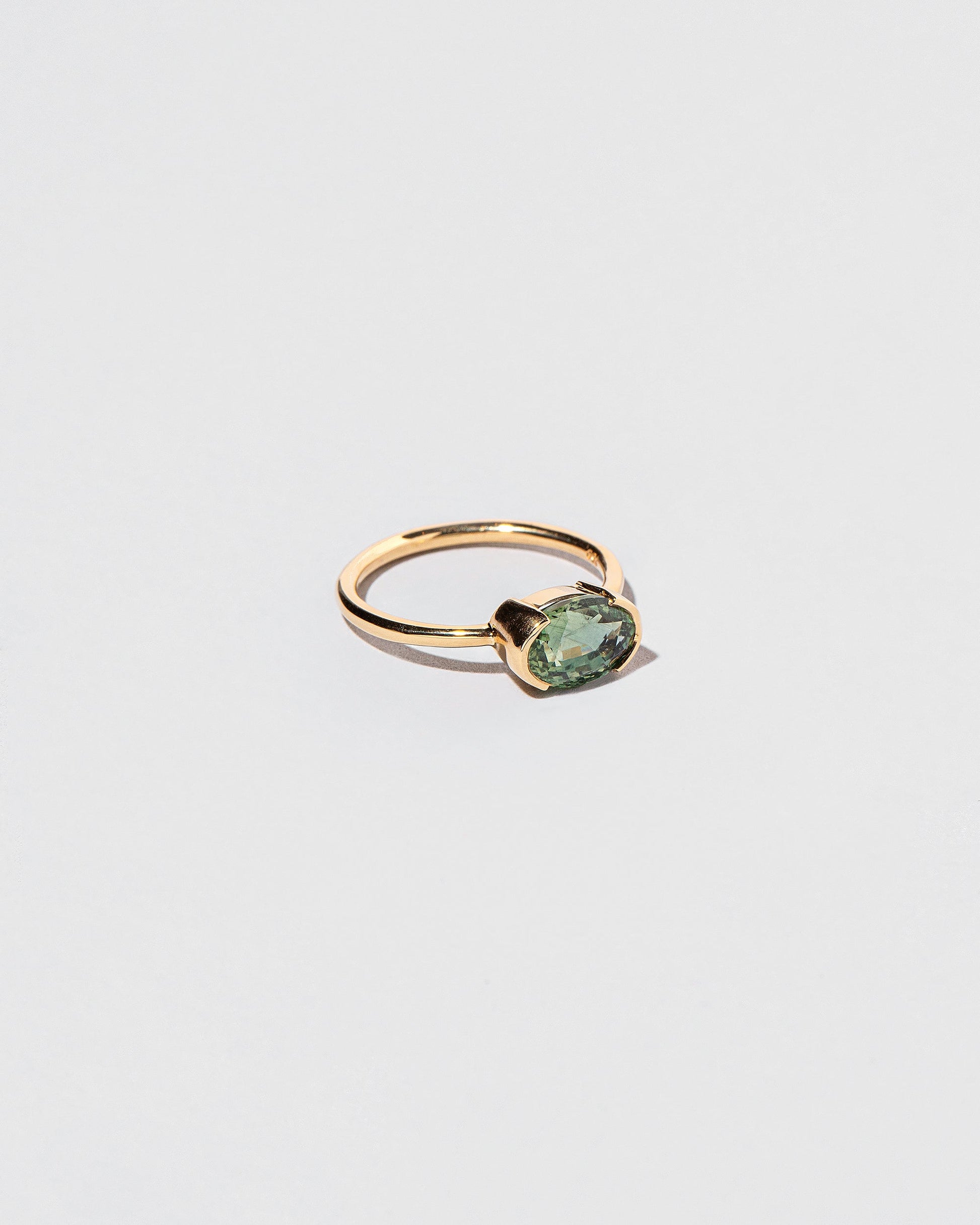 View from the side of the Fern Ring on light color background.