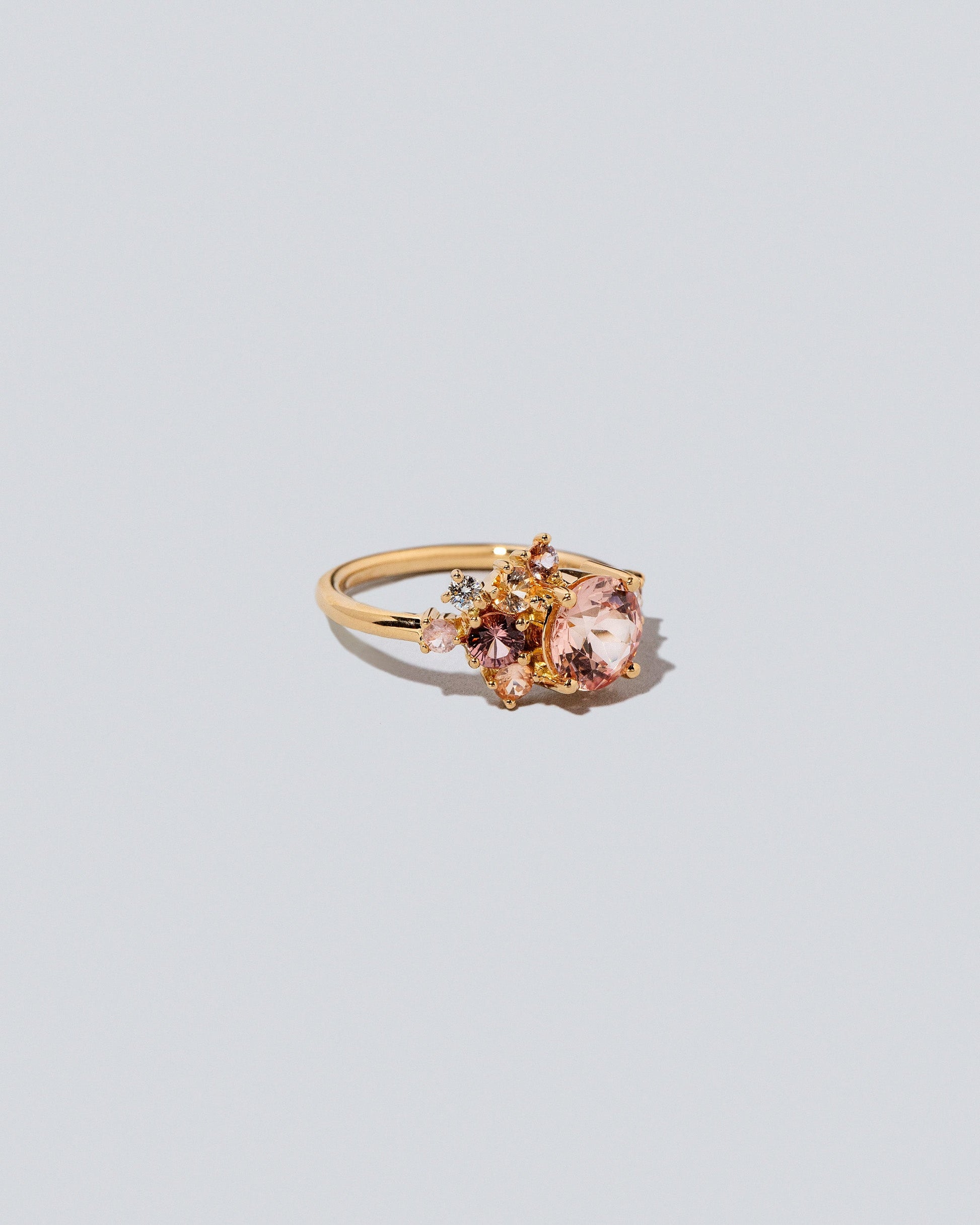 Vega Ring on light colored background.